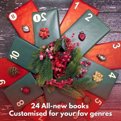 Fiction Advent Calendar - 24 Books