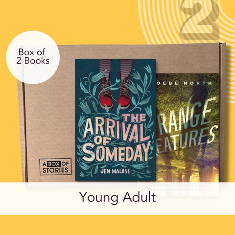 Young Adult Box of 4 Surprise Books - A Box of Stories